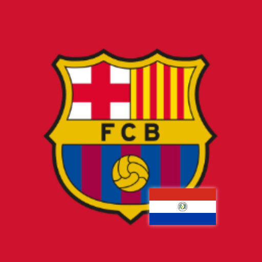 Representative image of Barca Academy Paraguay