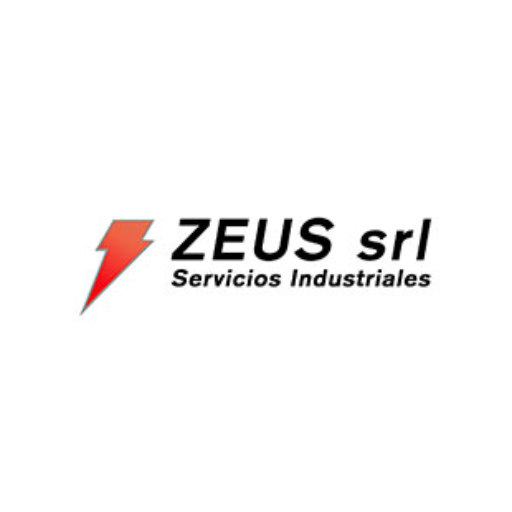 Imagem representativa de Zeus S.R.L.